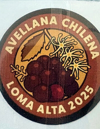 Brustickers - Stickers al Instante