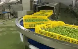 Metalúrgica para la Agroindustria Enchillán.com